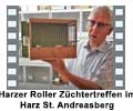 Harzer Roller Zchtertreffen im Harz St. Andreasberg
